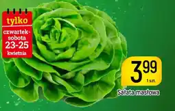 Delikatesy Piotruś Pan Sałata masłowa oferta