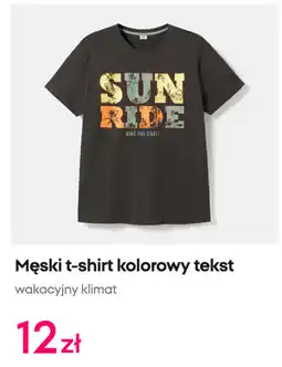 Pepco Męski t-shirt kolorowy tekst oferta