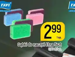 Delikatesy Piotruś Pan Gąbki do naczyń Etna oferta