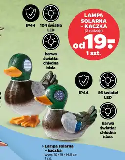 Netto Lampa solarna Barwa oferta
