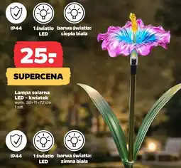 Netto Lampa solarna Barwa oferta