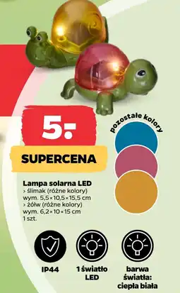 Netto Lampa solarna Barwa oferta