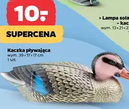 Netto Figurka oferta