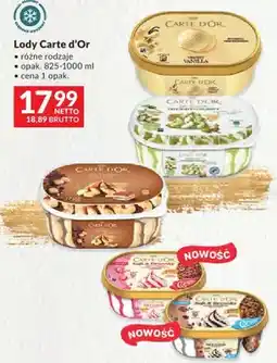Makro Lody Carte d'Or różne rodzaje oferta