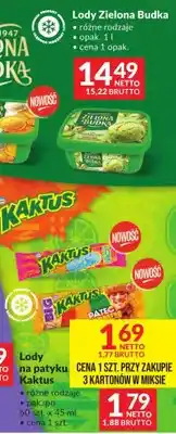 Makro Lody na patyku Kaktus różne rodzaje oferta