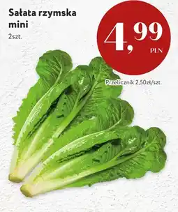 Market Point Sałata rzymska mini oferta