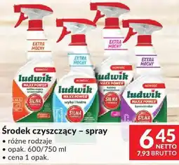 Makro Środek czyszczący spray Ludwik Maxx Power różne rodzaje oferta