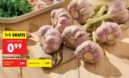 Biedronka Czosnek młody 1+1 GRATIS oferta