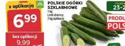 Stokrotka Ogórki oferta