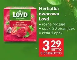Makro Herbatka owocowa Loyd różne rodzaje oferta