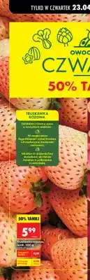 Biedronka Truskawka różowa oferta