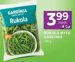 Stokrotka Express Rukola oferta