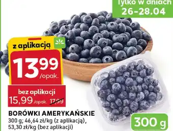 Borówki amerykańskie