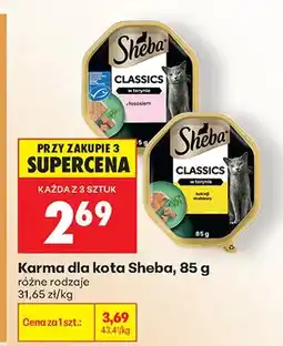 Biedronka Karma dla kota Classics w terynie z łososiem oferta