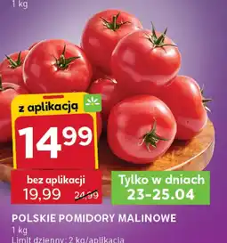 Stokrotka Express Pomidory oferta