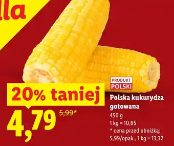 Lidl Kukurydza Polski oferta