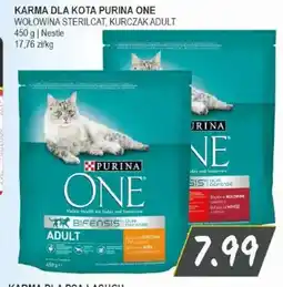 Słoneczko Purina One karma dla kota oferta