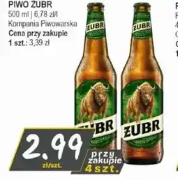 Słoneczko Piwo Zubr oferta