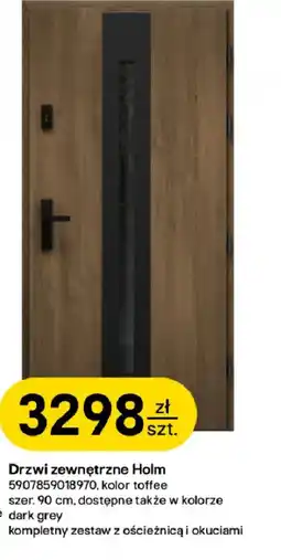 Castorama Drzwi zewnętrzne Holm oferta