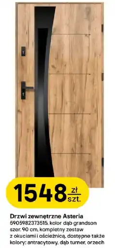 Castorama Drzwi zewnętrzne Asteria oferta