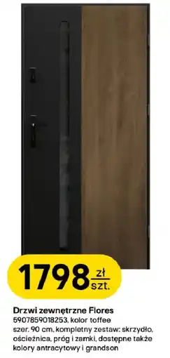 Castorama Drzwi zewnętrzne Flores oferta