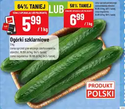 Polomarket Ogórki szklarniowe oferta