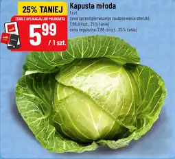 Polomarket Kapusta młoda oferta