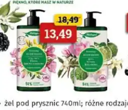 Drogeria Kosmyk Herbapol żel pod prysznic oferta