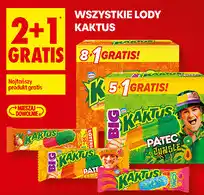 Biedronka Wszystkie lody Kaktus oferta