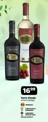 Netto Wino Terra Vineda Cabernet Sauvignon półsłodkie oferta