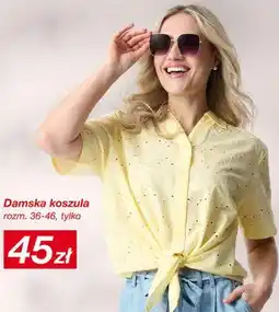 KiK Damska koszula oferta