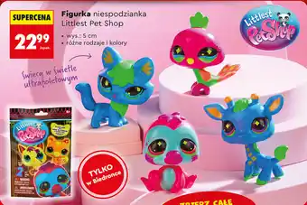 Figurka niespodzianka Littlest Pet Shop