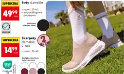 Biedronka Buty damskie Cardio Bunny oferta