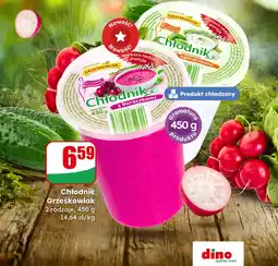 Dino Chłodnik Grześkowiak 2 rodzaje oferta