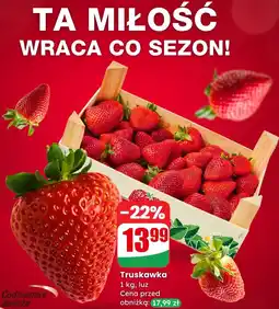 Dino Truskawka luz oferta