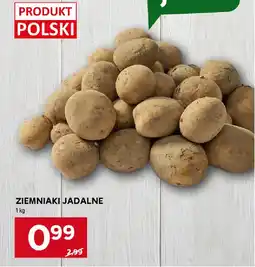 Stokrotka Ziemniaki jadalne oferta