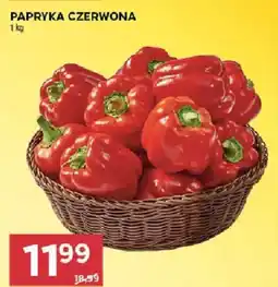 Stokrotka Papryka czerwona oferta