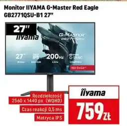 Neopunkt Monitor Iiyama oferta