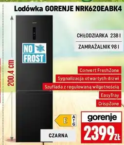 Neopunkt Lodówka Gorenje oferta