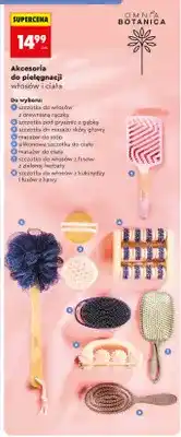 Biedronka Szczotka do włosów z kukurydzy i fusów z kawy Omnia Botanica oferta