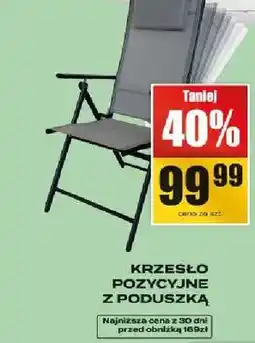 Supeco Krzesło pozycyjne z poduszką oferta