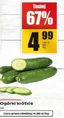Supeco Ogórki krótkie oferta