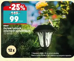 Biedronka Zestaw lampek solarnych ogrodowych Wings 12 sztuk oferta