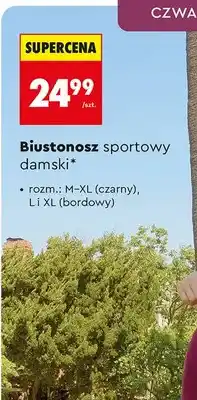 Biedronka Biustonosz sportowy damski Cardio Bunny bordowy rozm. L i XL oferta