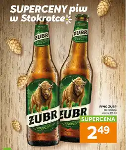 Stokrotka Piwo żubr oferta