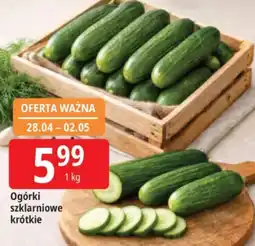E.Leclerc Ogórki oferta