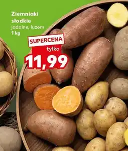 Kaufland Ziemniaki słodkie jadalne luzem oferta