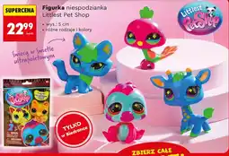 Biedronka Figurka Littlest Pet Shop oferta
