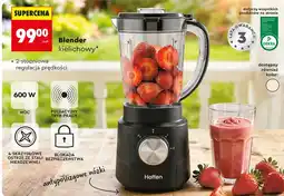 Biedronka Blender kielichowy Hoffen oferta