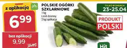 Stokrotka Market Ogórki Hit oferta